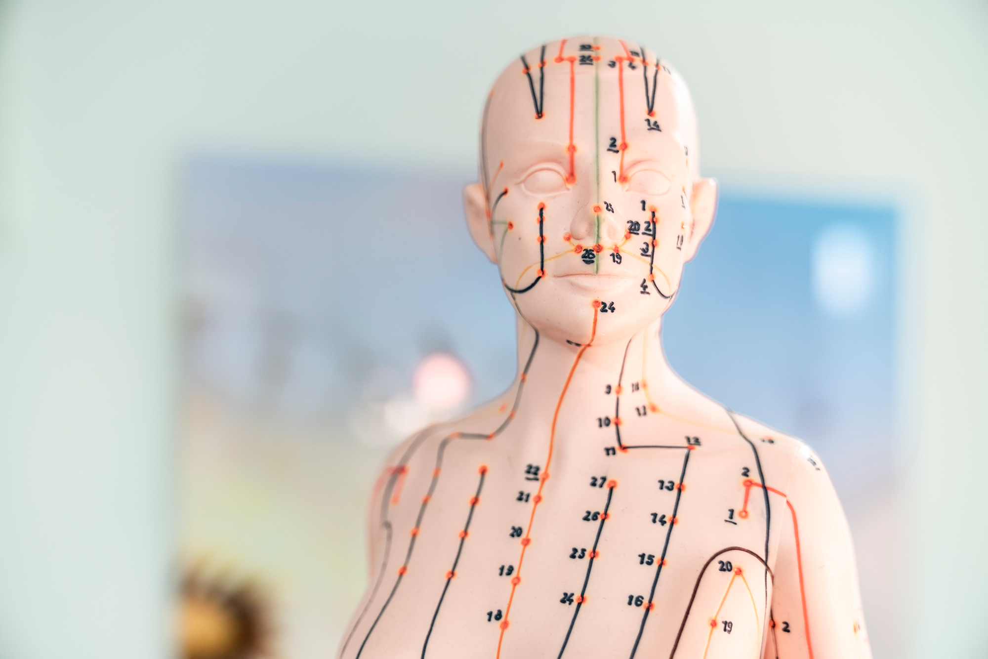 Mikronährstoffmedizin, Infusionstherapien, Traditionell chinesische Medizin, IGeL